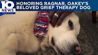Oakey's Funeral Service remembers Ragnar, the grief therapy dog