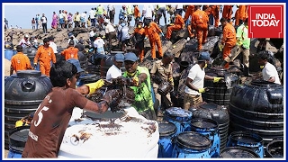 Chennai Oil Spill : DMK Corners TN Govt In Cleaning Operation