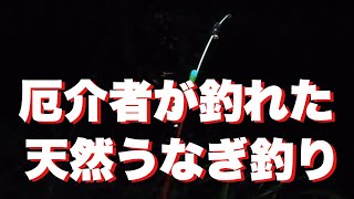 天然うなぎ釣り厄介者が釣れた#うなぎ釣り#天然うなぎ#マニアフィッシング