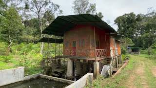 16 Acres Cardamom Plantation For Sale In Udumbanchola, Idukki