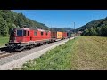 swiss trains gallore bahnverkehr in die schweiz