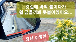 [초보운전기초] 갓길주차 바짝 붙이기/ 잠시 주정차때 꼭 필요한 스킬/ 초보눈높이 영상/ How to drive/ Learn driving basics