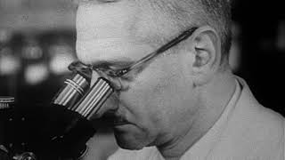 American Experience: Polio Crusade PREVIEW
