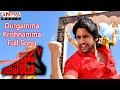 Durgamma Krishnamma Full Song || Bejawada Telugu Movie || Naga Chaitanya,Amala Paul