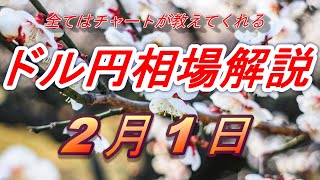 【FX】ドル円為替相場の予想と前日の動きをチャートから解説。日経平均、NYダウ、金チャートも。2月1日～