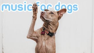 4 HOURS of Soothing Anti-Anxiety Music for Dogs! NEW 2019!