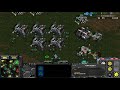 더드튜브 비매너 배신자를 참교육시켜보겠습니다. 스타팀플 헌터 starcraft team play 리마스터 스타크래프트