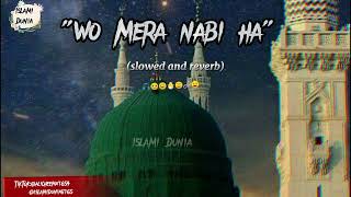 Wo Mera nabi ha 🥺/ beautiful naat Kareem 💕#viralvideo #islami #islamicdunia #naatkareem
