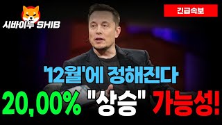 [시바이누 코인] 소각 가속화와 “2,000%” 상승 가능성! 불장의 문이 열린다!