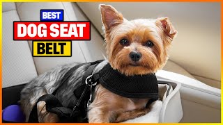 Best Dog Seat Belt 2023 [Top 6 Dog Seat Belts Review]
