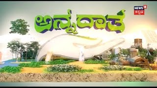 Annadata | ವೈನ್ ದ್ರಾಕ್ಷಿ - ಹುಲಿಯಲ್ಲ ಸಿಹಿ