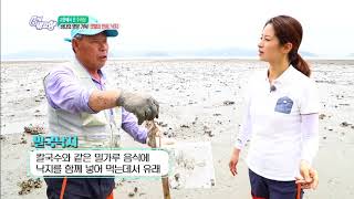 6시 내고향-바다의 영양 가득! 갯벌의 인삼 낙지를 잡으러 - 충남, 태안.20180703