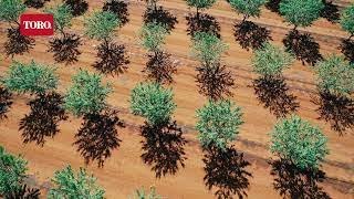 Toro drip at Greenview Farms, Griffith, NSW