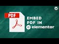 How to Embed PDF in the Elementor Page Builder?