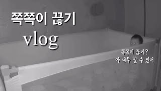 [육아vlog42] 10개월 동안 고마웠다  안녕 쪽쪽이 !  돌 전 아기 쪽쪽이 끊기 (방법, 후기 공유),  돌아기 유아식 만들기, 12개월 아기와 놀이시간🛝,