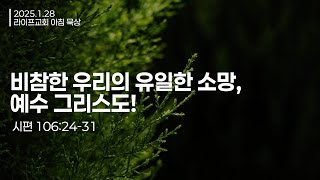 [3분 아침묵상] 비참한 우리의 유일한 소망, 예수 그리스도! (시편 106:24-31) / 라이프교회 아침 묵상 / 250128