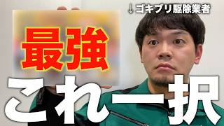 【プロが選ぶ】最強！市販のゴキブリ駆除剤はこれでいい！