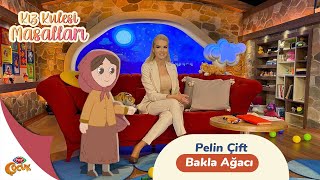 Kız Kulesi Masalları | Bakla Ağacı | Pelin Çift