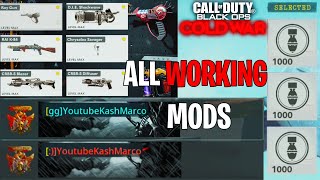 ALL Cold War *NEWEST* MODS Spawn with WONDER WEAPONS,NUKE scorestreak, COLORED Name and clan tag