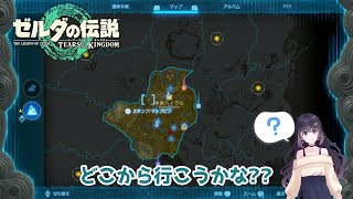 【11/3　20:00～】久々ティアキン！ちょっと眠いかも【ゼルダの伝説ティアーズオブザキングダム】