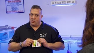 How To Care For Your Saltwater Aquarium | Tanked