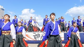 [4K]早稲田大学“踊り侍”　神戸よさこい2017 高浜岸壁会場