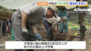 伊豆のわさび田で伝統技術の「畳石式」栽培を若手が体験（静岡県）