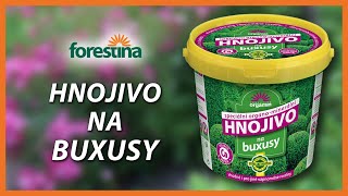 Hnojivo na buxusy