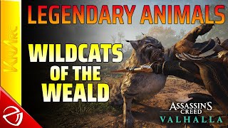 Assassin's Creed: Valhalla - Legendary Animals - Wildcats of the Weald