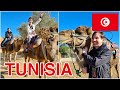 We rode camels up in the mountains of Tunisia, Africa! 🇹🇳