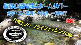 2020年 6月下旬　梅雨の晴れ間のホームリバー　宮崎県椎葉・五ヶ瀬川・大分県大野川へ今期初の車中泊釣行　後編　新兵器「ヒル下がりのジョニー」効果は？…九州エノハ・フライフィッシングの旅