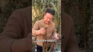 这个红烧肉还是相当成功的啊 红烧肉 跟着抖音学做菜