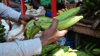 Towards a resilient banana sector in Western Uganda