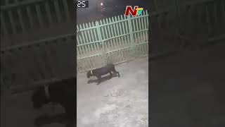 Delhi Earthquake CCTV footage | Ntv