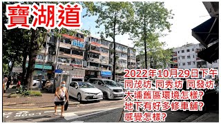 寶湖道 2022年10月29日同茂坊 同秀坊 同發坊 大埔舊區環境怎樣?地下有好多修車舖?感覺怎樣?Plover Cove Road Tai Po Hong Kong Street View@步行街景