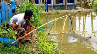 Amazing net fishing video in bangladeshi village pond - Traditional net fishing video