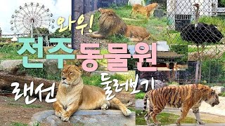 전주동물원 (전주드림랜드)/랜선여행 / 동물원 둘러보기 / 전주 가볼만한곳