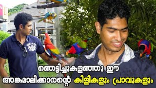 കിളികളും പ്രാവുകളും   നിറഞ്ഞ അങ്കമാലിക്കാരന്റെ വലിയ ലോകം|Pigeon\u0026Birds mlayalam|Oru adaar pets story