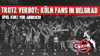 Trotz UEFA-Verbot: 250 Köln Fans in Belgrad & Partie kurz vor Spielabbruch!