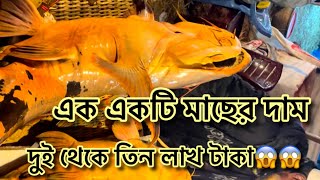 সিলেট বিভাগের শ্রেষ্ঠ মাছের মেলায় এক একটি লাখ টাকার মাছ উঠেছে। #fishingvideo #fishfair #fair