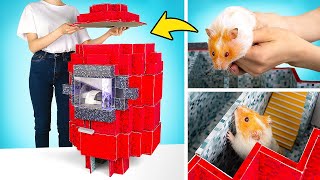 Juntando 2 Jogos Para Construir Um Labirinto Gigante para Hamsters