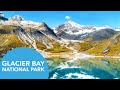 Cruise Glacier Bay National Park in Alaska | What to Expect