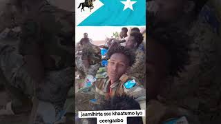 Huwantii Oo Ceerigabo Qabstay#jabuuti#jigjiga#tiktok#asadhagio#somalia#ceerigaabo#dhulbahante#shorts