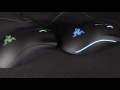 razer deathadder chroma vs razer mamba tournament edition comparison review