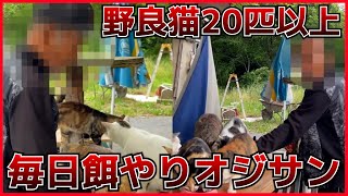 凄い数のネッコと暮らす男性ホームレス/PART46