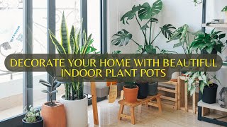 Decorate Your Home With Indoor Plant Pots| DIY Indoor Plant Pots| Beautiful Indoor Plant Pot Design