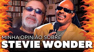 Stevie Wonder - Minha Opinião Sobre