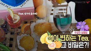 색이 변하는 Tea, 그 비밀은? (feat. 방구석 홈카페)