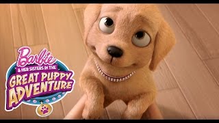 Barbie Meets Taffy | Barbie & Her Sisters in a Great Puppy Adventure | @Barbie