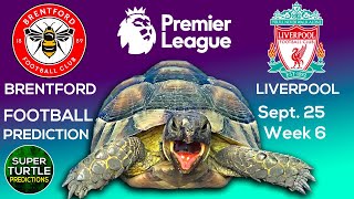 Brentford vs Liverpool ⚽️ Premier League 2021/22 🐢 Turtle Football Predictions